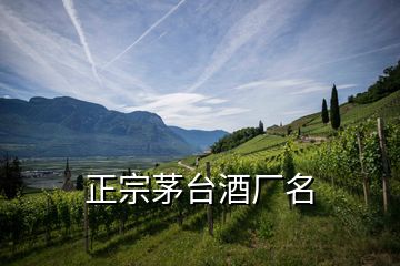 正宗茅臺(tái)酒廠名