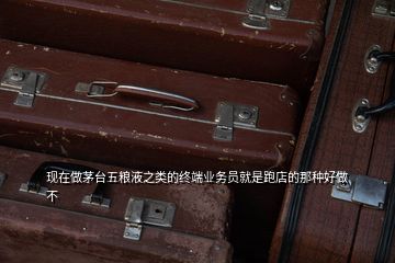 現(xiàn)在做茅臺(tái)五糧液之類的終端業(yè)務(wù)員就是跑店的那種好做不
