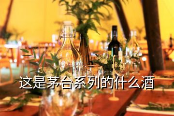 這是茅臺(tái)系列的什么酒