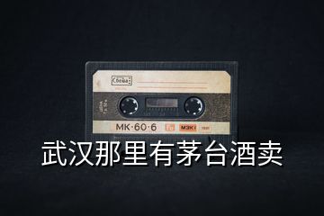 武漢那里有茅臺(tái)酒賣