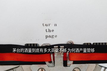 茅臺的酒量到底有多大高粱不夠 為何酒產量管夠