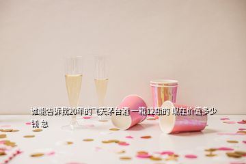 誰(shuí)能告訴我20年的飛天茅臺(tái)酒 一箱12瓶的 現(xiàn)在價(jià)值多少錢(qián) 急