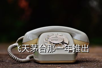 飛天茅臺那一年推出