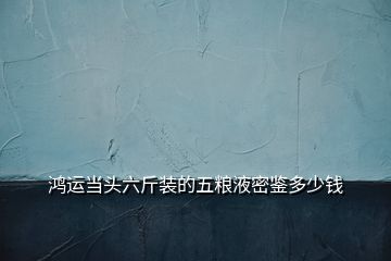 鴻運(yùn)當(dāng)頭六斤裝的五糧液密鑒多少錢