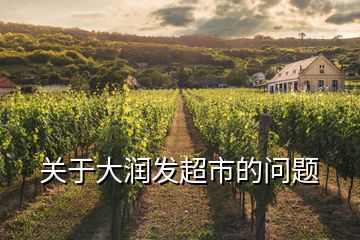 關(guān)于大潤(rùn)發(fā)超市的問(wèn)題