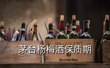 茅臺楊梅酒保質期