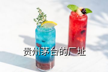 貴州茅臺的廠址