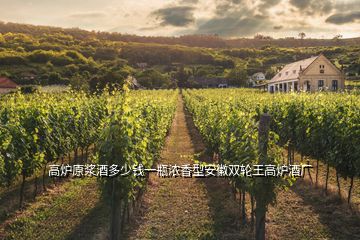 高爐原漿酒多少錢(qián)一瓶濃香型安徽雙輪王高爐酒廠