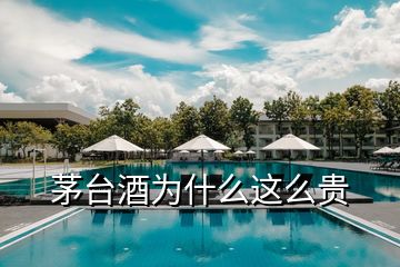 茅臺(tái)酒為什么這么貴