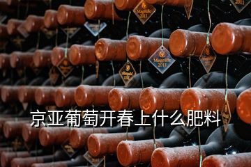 京亞葡萄開(kāi)春上什么肥料