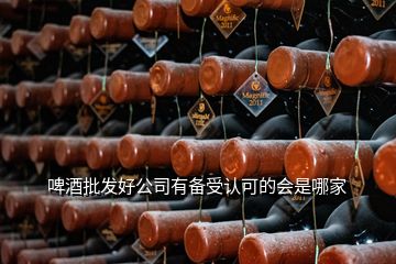 啤酒批發(fā)好公司有備受認(rèn)可的會(huì)是哪家