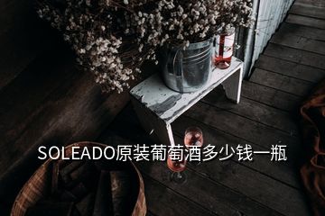 SOLEADO原裝葡萄酒多少錢(qián)一瓶