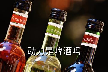 動(dòng)力是啤酒嗎
