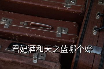 君妃酒和天之藍(lán)哪個好