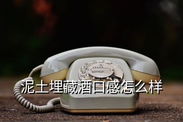 泥土埋藏酒口感怎么樣