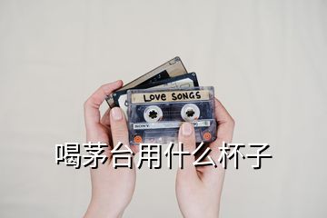 喝茅臺用什么杯子
