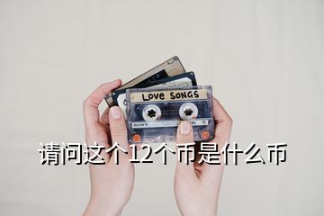 請問這個(gè)12個(gè)幣是什么幣
