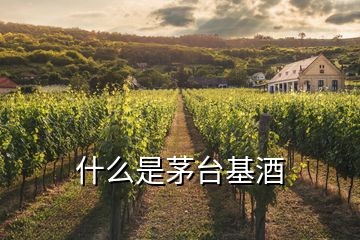 什么是茅臺(tái)基酒