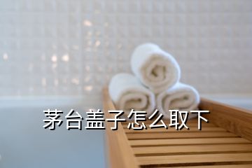 茅臺(tái)蓋子怎么取下