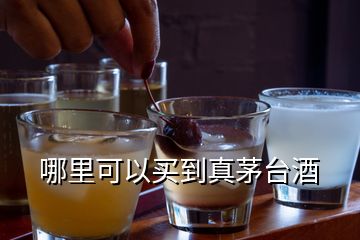 哪里可以買(mǎi)到真茅臺(tái)酒