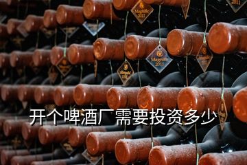 開(kāi)個(gè)啤酒廠需要投資多少