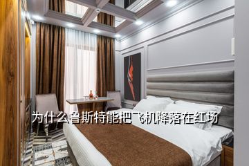 為什么魯斯特能把飛機(jī)降落在紅場