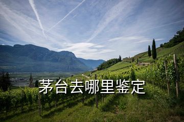 茅臺(tái)去哪里鑒定