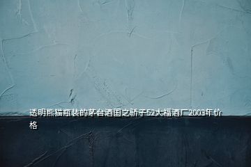 透明熊貓瓶裝的茅臺(tái)酒國之驕子52大福酒廠2003年價(jià)格