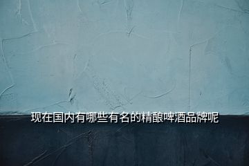 現(xiàn)在國內(nèi)有哪些有名的精釀啤酒品牌呢