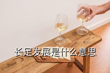長(zhǎng)足發(fā)展是什么意思