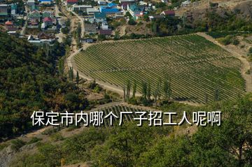 保定市內(nèi)哪個(gè)廠子招工人呢啊