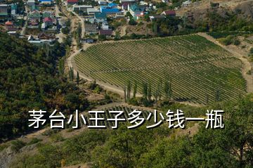 茅臺(tái)小王子多少錢(qián)一瓶