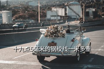 十九點(diǎn)5毫米的鋼絞線一米多重