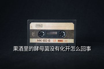 果酒里的酵母菌沒(méi)有化開(kāi)怎么回事
