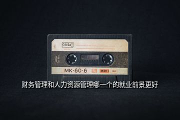 財務管理和人力資源管理哪一個的就業(yè)前景更好