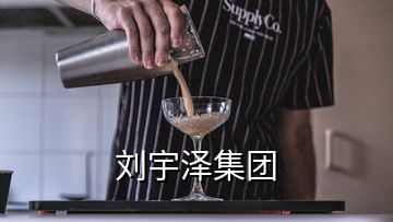 劉宇澤集團