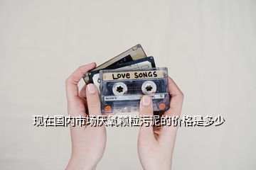 現(xiàn)在國內(nèi)市場厭氧顆粒污泥的價(jià)格是多少