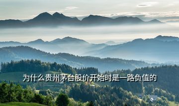 為什么貴州茅臺(tái)股價(jià)開(kāi)始時(shí)是一路負(fù)值的