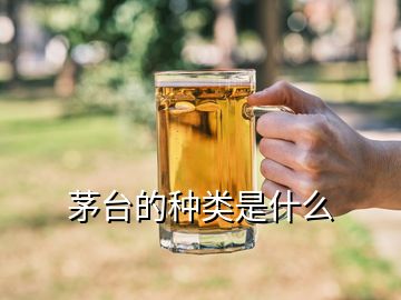 茅臺(tái)的種類(lèi)是什么