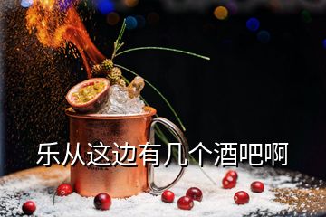 樂從這邊有幾個(gè)酒吧啊