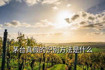 茅臺(tái)真假的識(shí)別方法是什么