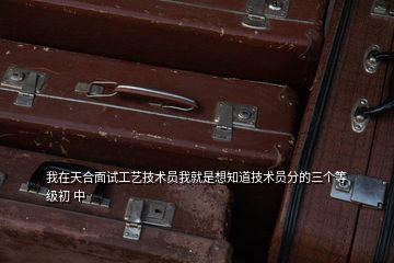 我在天合面試工藝技術員我就是想知道技術員分的三個等級初 中