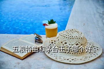 五糧特曲和茅臺王子哪個好