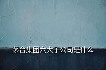 茅臺集團六大子公司是什么