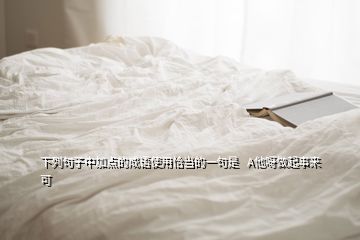 下列句子中加點(diǎn)的成語使用恰當(dāng)?shù)囊痪涫?  A他呀做起事來可