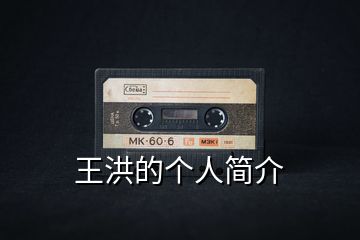 王洪的個人簡介