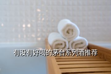 有沒(méi)有好喝的茅臺(tái)系列酒推薦