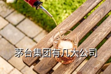 茅臺(tái)集團(tuán)有幾大公司