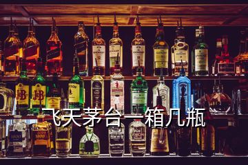 飛天茅臺(tái)一箱幾瓶