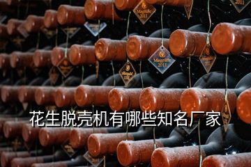 花生脫殼機有哪些知名廠家